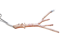 LifeNet Aortoiliac Artery