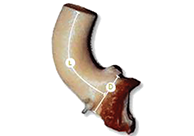 LifeNet Ascending Aorta (non-valved) Conduit