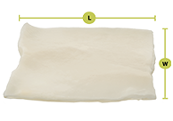 Decellularized Pulmonary Patch Repair Graft
