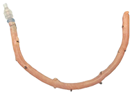 LifeNet Femoral Vessel