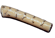 LifeNet Thoracic Aorta Conduit
